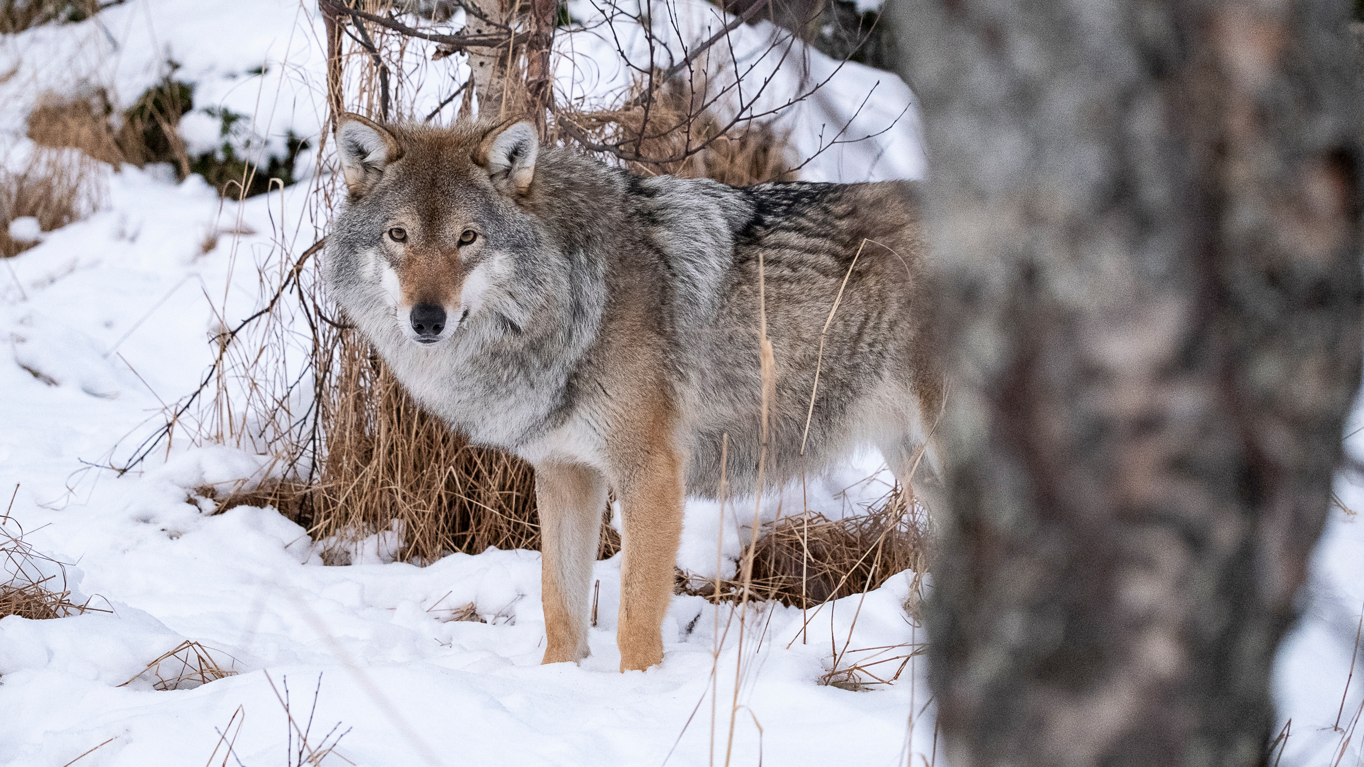 xf70-300mmf45-56-r-lm-ois-wr_sample_02_h
